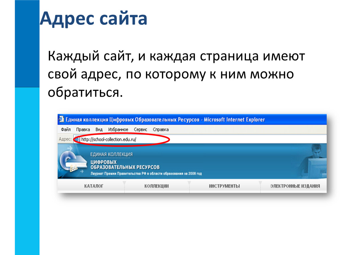 Адрес сайта в файле. Адрес сайта. Адрес веб сайта. Адрес web-сайта. Адрес сайта в интернете.