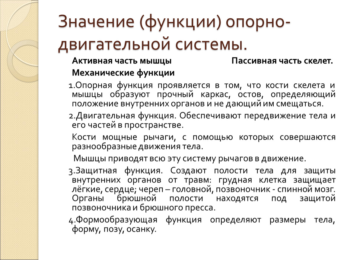 Опорно двигательная система функции. Значение опорно-двигательной системы. Значение опрнодвигатеной системы. Опорно-двигательная система. Значение опорно-двигательной системы.. Значение опорно-двигательной системы активная часть.