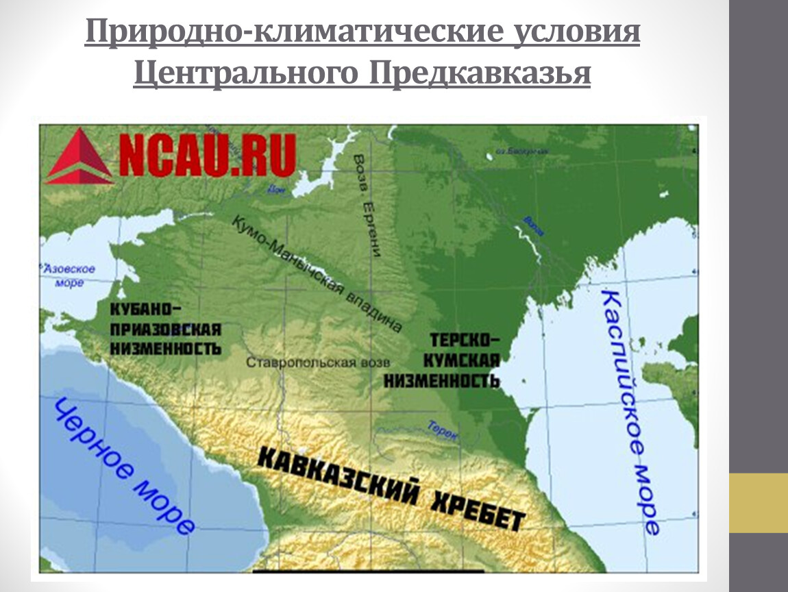 На какие крупные части разделяется кавказ. Терско-Кумская низменность на карте России. Природно климатические условия центрального Предкавказья. Ставропольская возвышенность на карте России. Кумуманыческая впадина на карте.