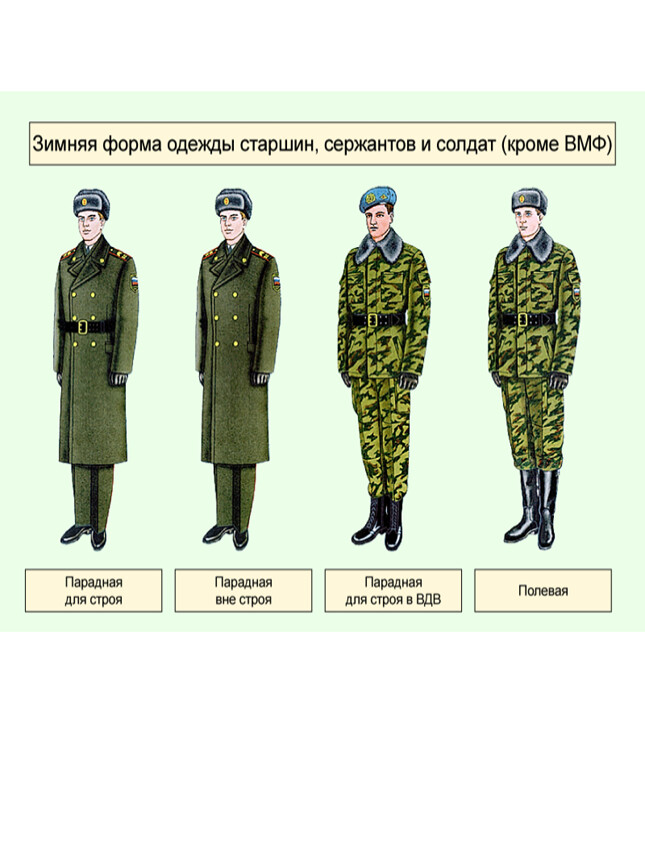 Военная форма одежды и знаки различия военнослужащих презентация