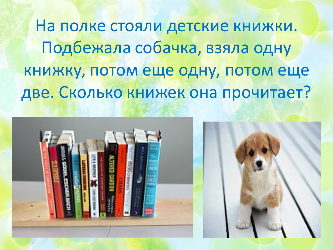 На полке было 15 книг. Книжку это сколько. На полке лежали книги собака. Собачка подбежит. Еще одну книжку.