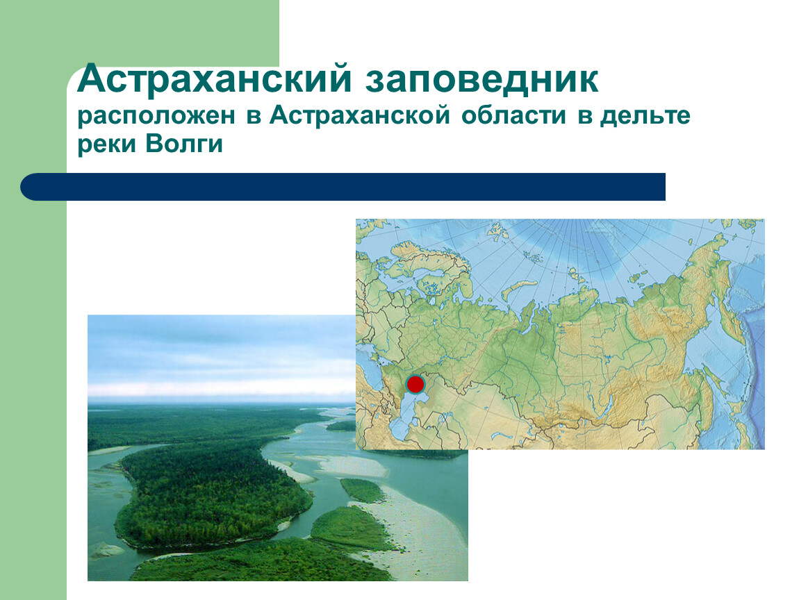Астраханский заповедник основные объекты охраны