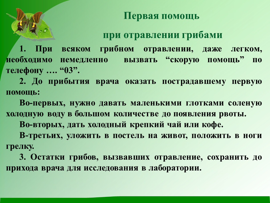 Рассмотрите изображения шести представителей мира грибов предложите основание согласно которому