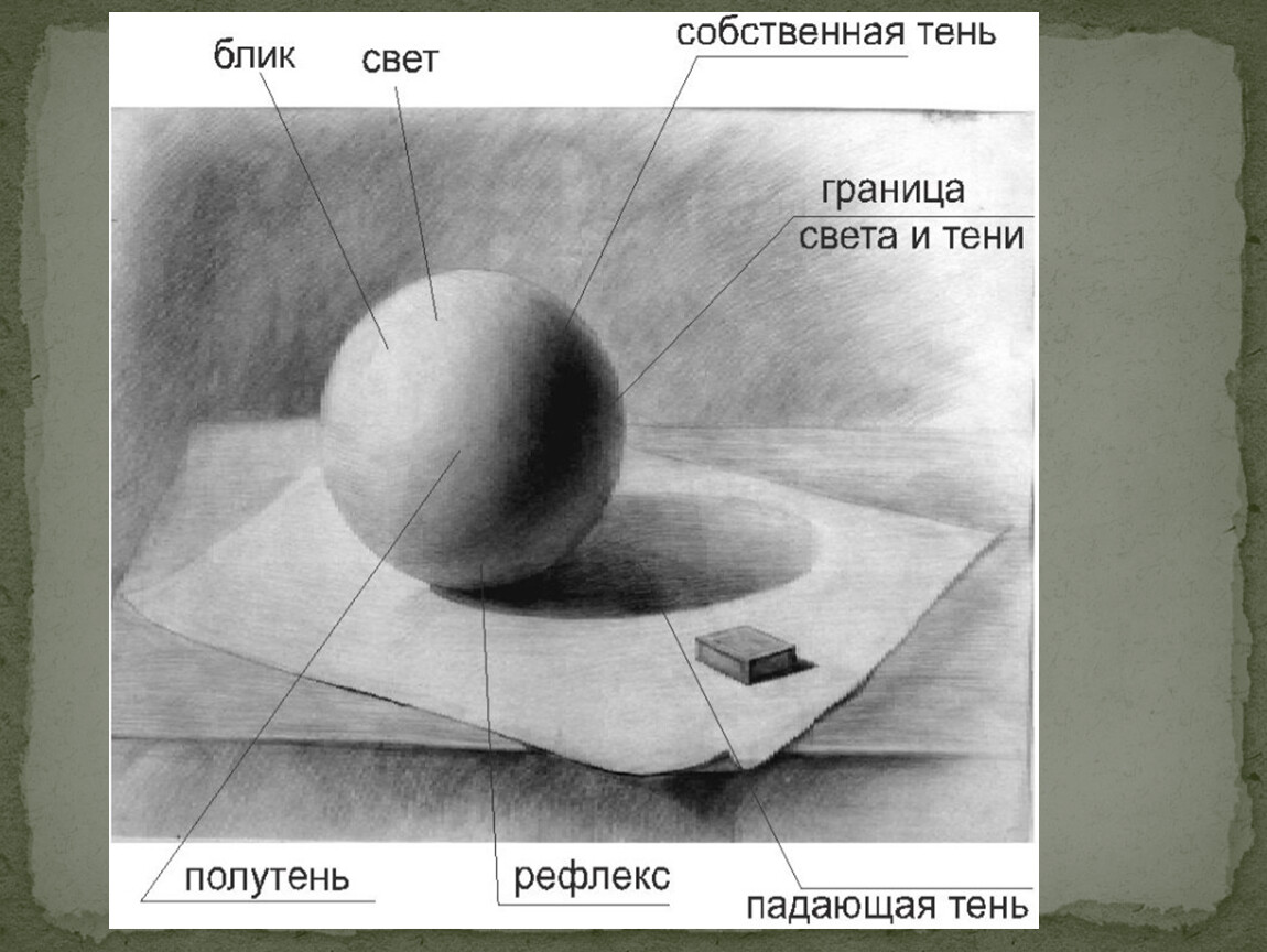 Рисунок света тень. Свет тень полутень рефлекс блик в рисунке. Блик тень полутень рефлекс в рисунке. Тень полутень рефлекс штриховка. Блик свет полутень Собственная тень рефлекс Падающая тень.