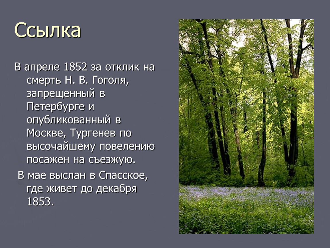 В какой семье родился тургенев. "На смерть а. Тургенева" текст. Где родился Тургенев в какой семье. Какими языками владел Тургенев. Как был наказан Тургенев за отклик на смерть Гоголя.