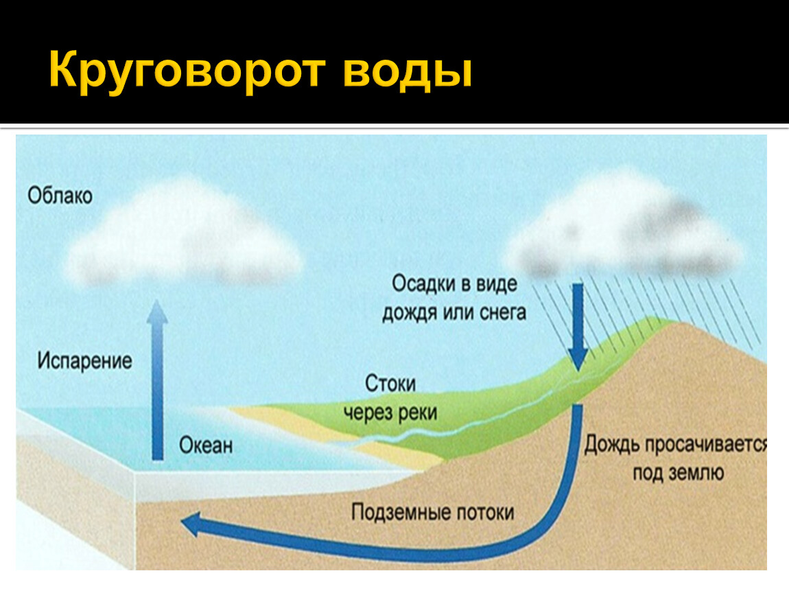 Круговорот воды в природе схема 11 класс биология