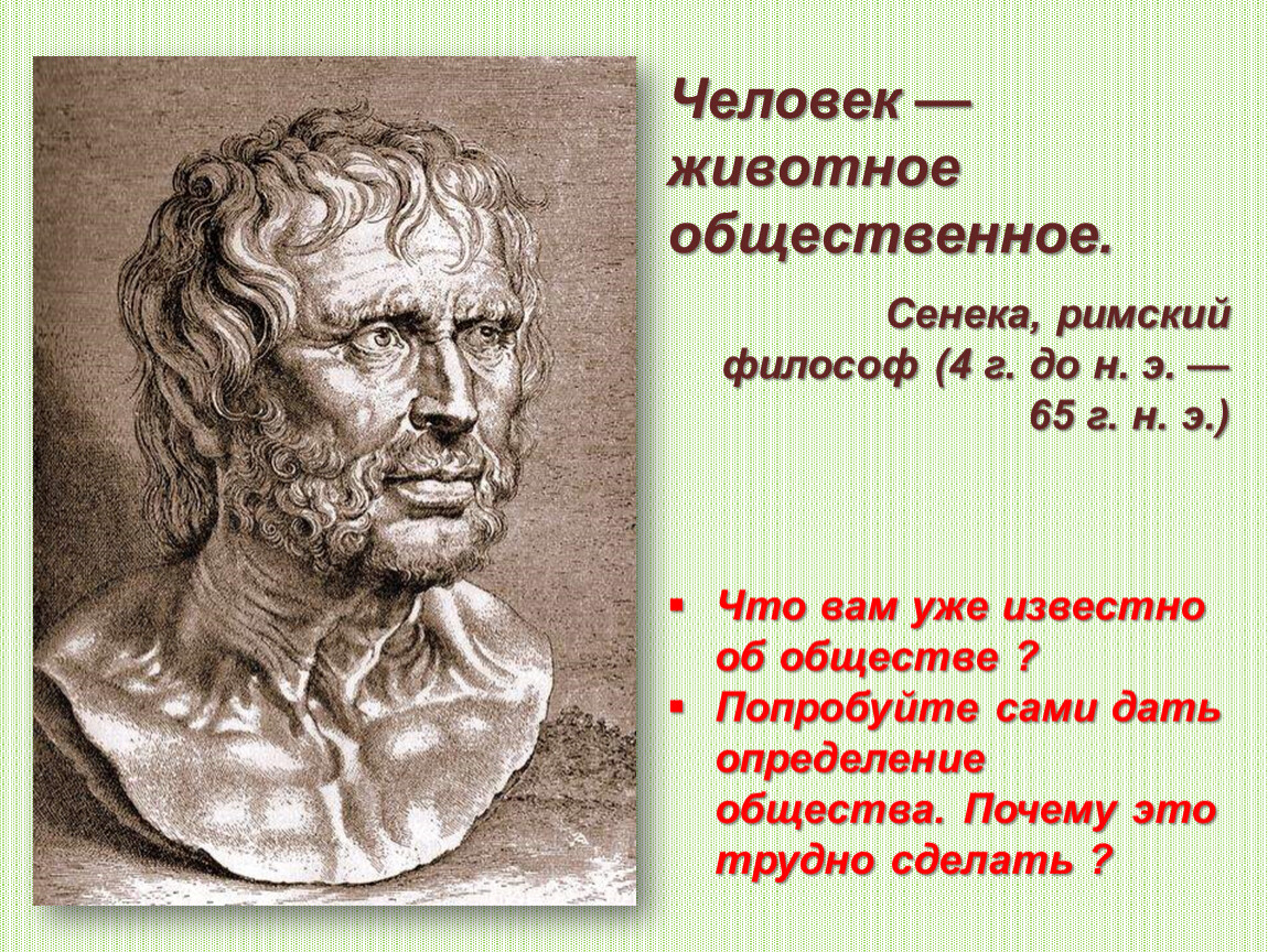 Что такое автор. Человек Общественное животное. Человека как 