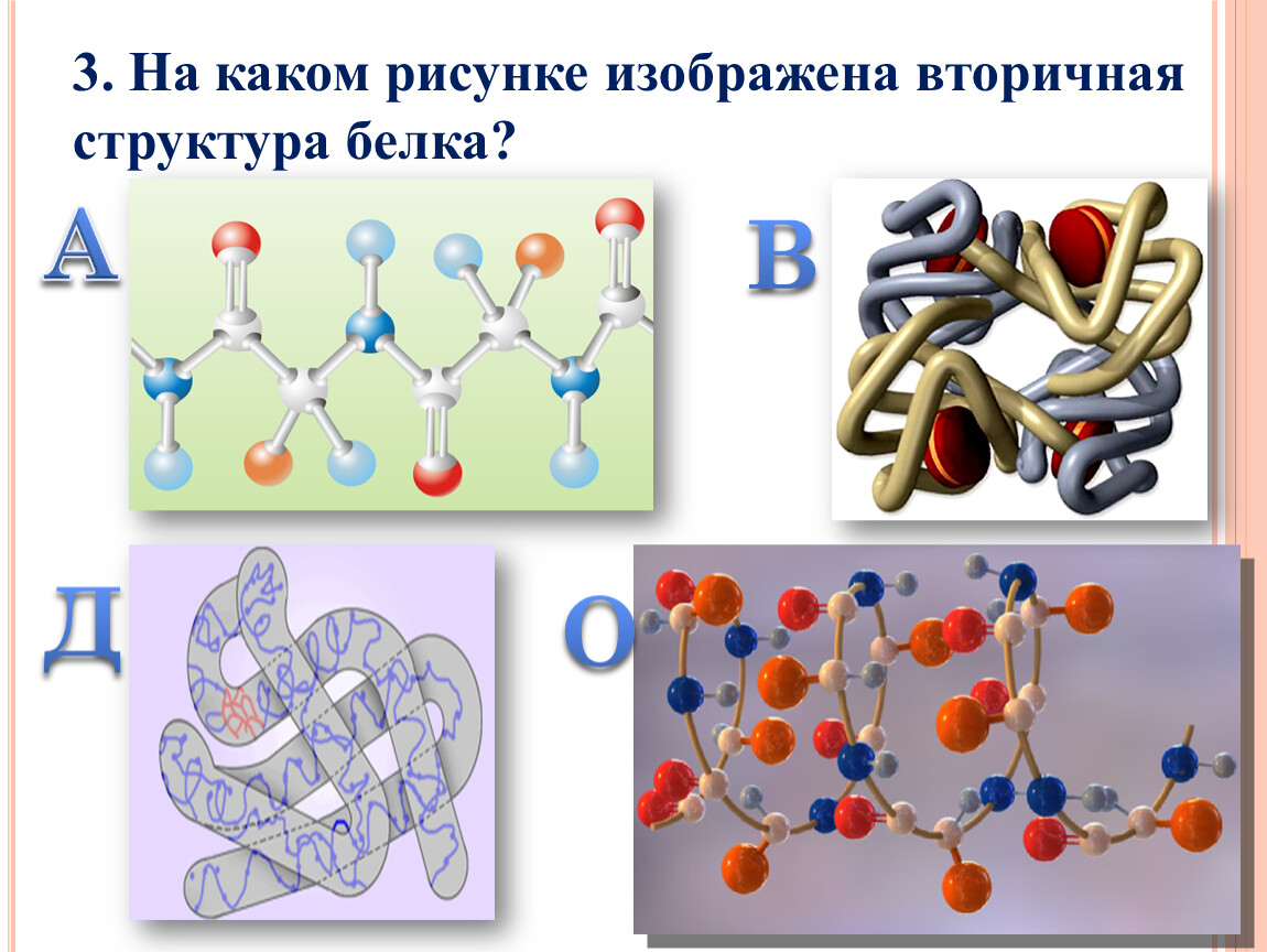 Структуры белка рисунок. Что изображено на рисунке третичная структура белка. Транспортные белки строение. На рисунке изображена структура белка.. Макет структуры белка.