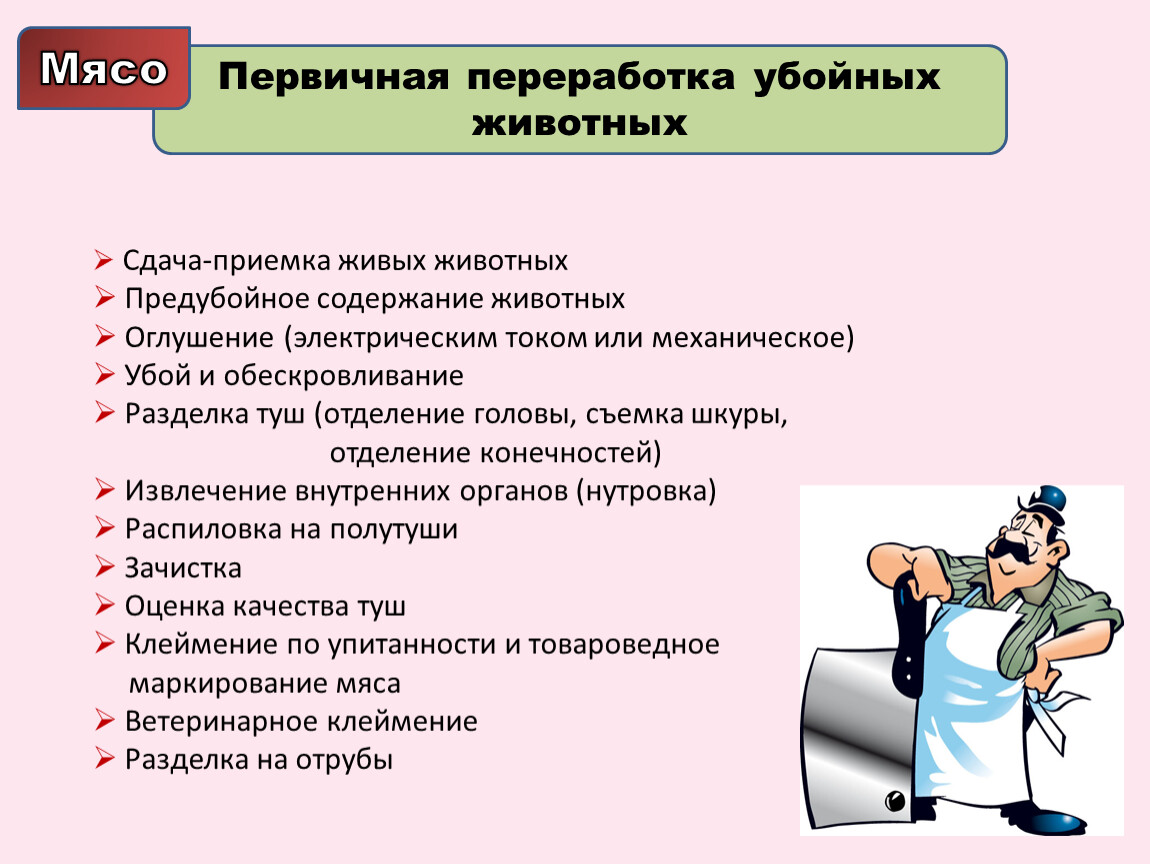 Живой содержание. Порядок приема и сдачи животных для убоя. Правила приемки скота. Порядок сдачи и приема убойных животных на предприятии. Правила приемки мяса убойных животных.