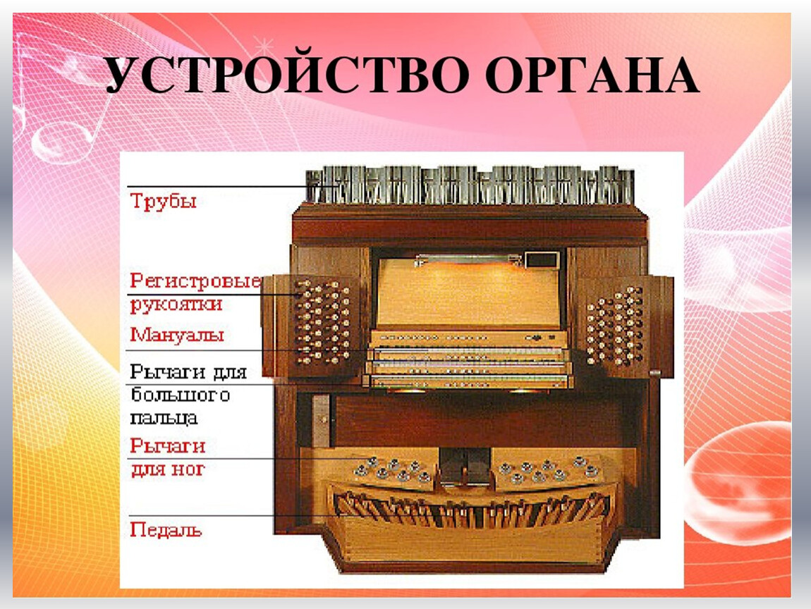 Строение органа инструмента. Строение органа музыкального. Как устроен орган. Устройство органа музыкального инструмента. Орган 5 мая