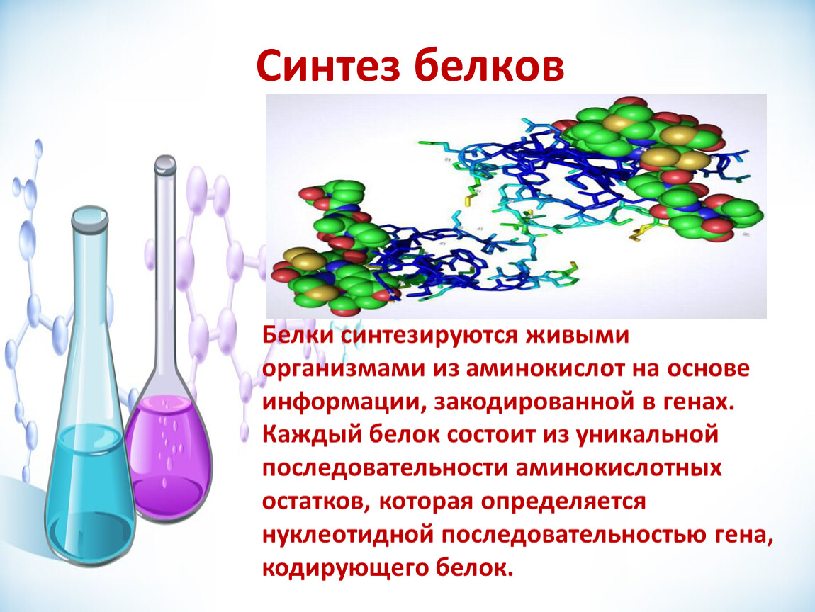 Белки синтезируются в результате реакции. Синтез. Sintaş. Белки химия. Химический Синтез.