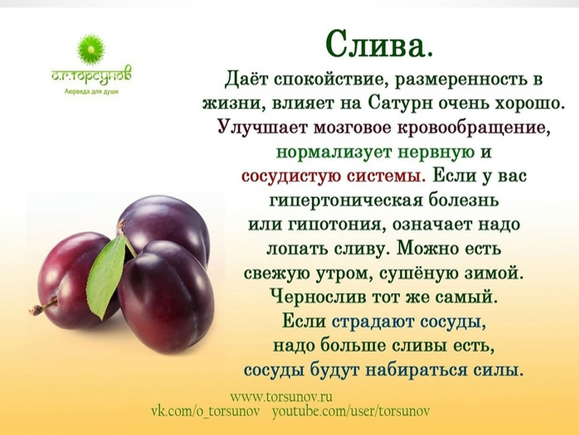 Польза фруктов для здоровья. Чем полезна слива. Полезные фрукты и овощи. Информация про фрукты. Чем полезна слива для организма.
