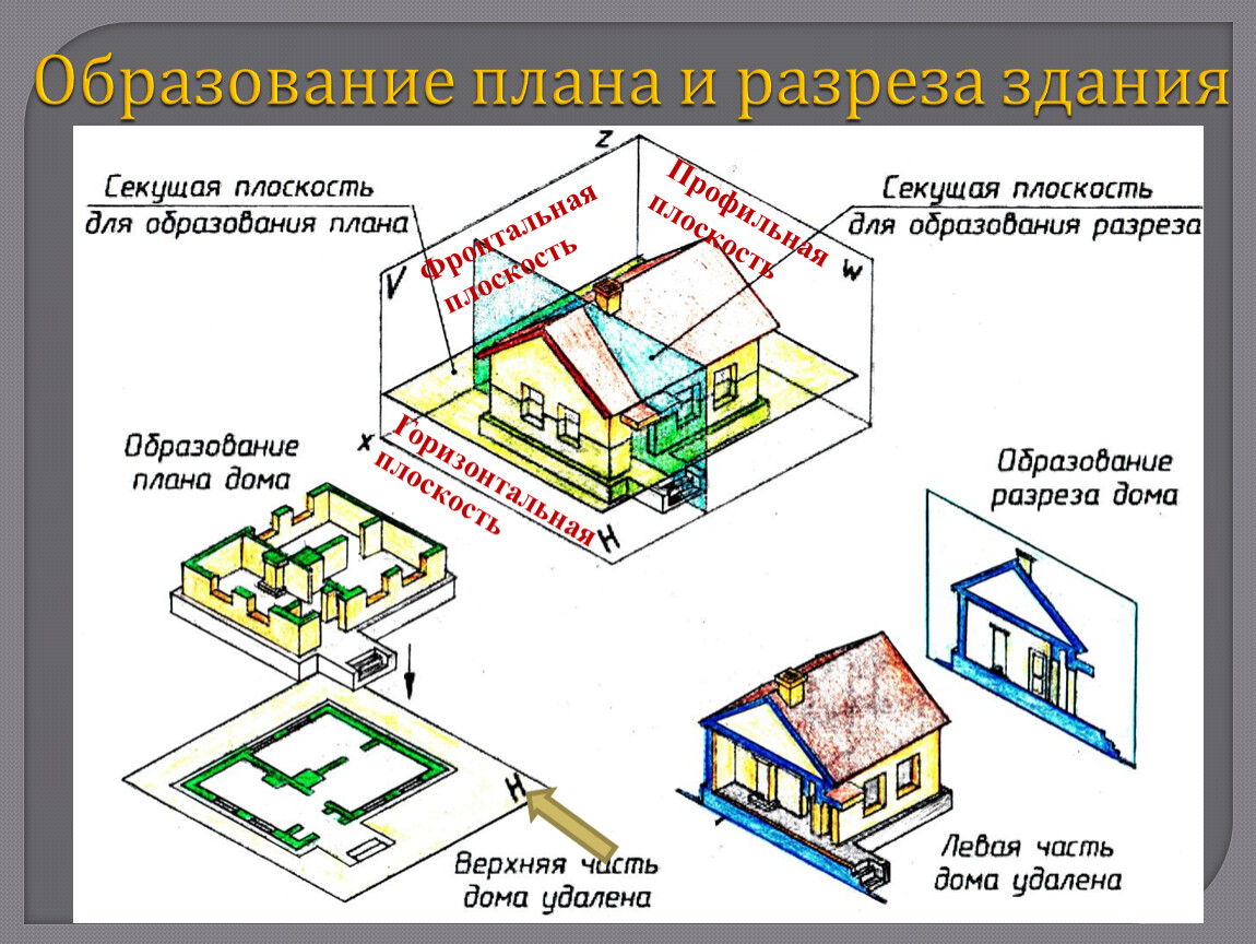 План образование. Образование плана и разреза здания фото. План это разрез здания плоскостью. Планы и разрезы здания для птиц.