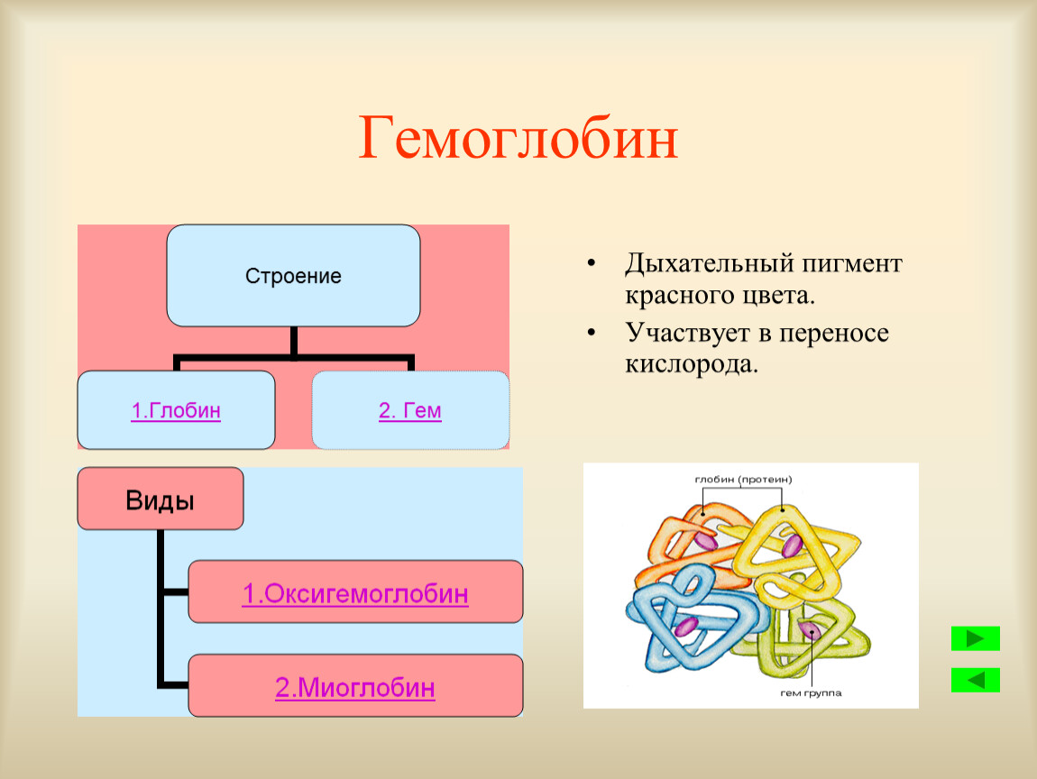 Гемоглобин дыхание