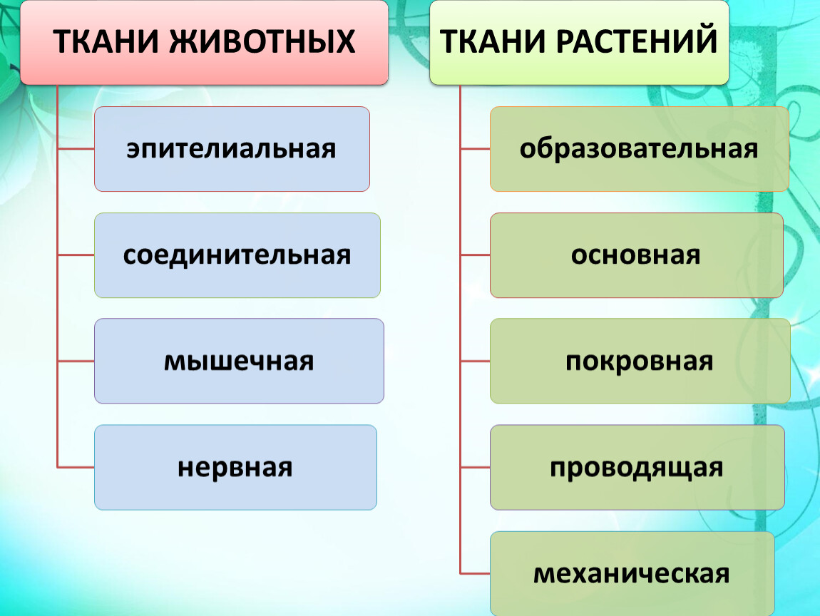 Ткани биология 5 класс. Проводники в биологических тканях. Виды биологического материала. Биология ткани проводники.