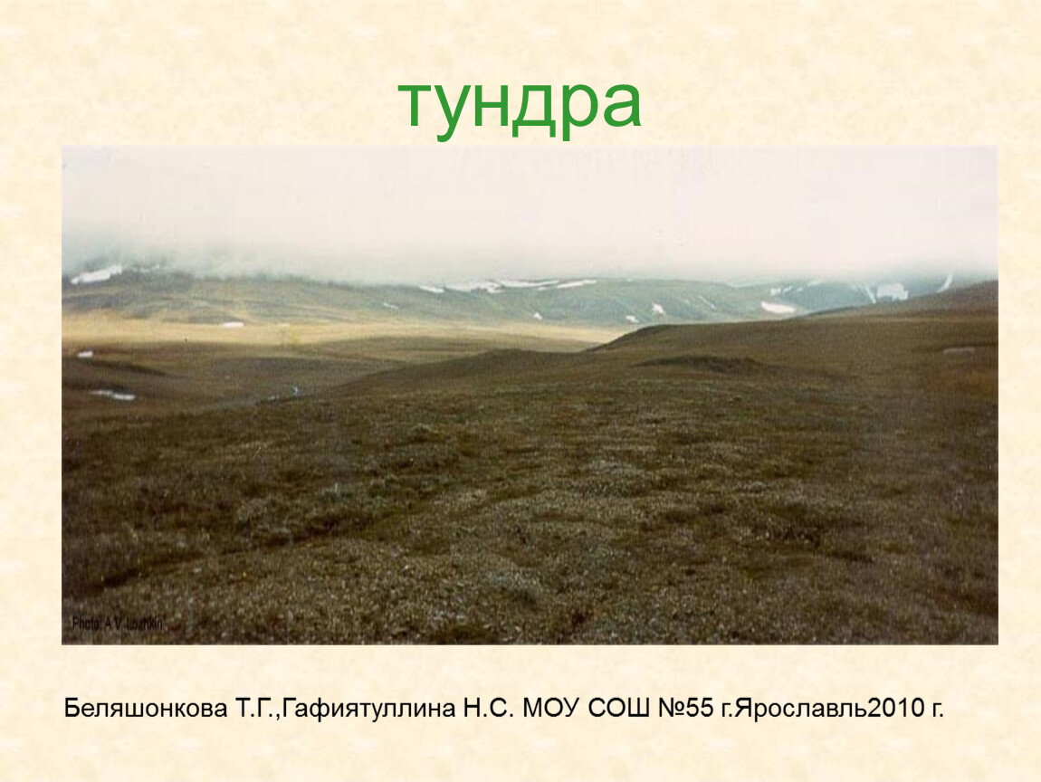 Найдите соответствие природная зона тундра. Природные зоны России 4 класс окружающий мир тундра. Природная зона тундра 4 класс окружающий мир. Тундра презентация. Описание тундры.