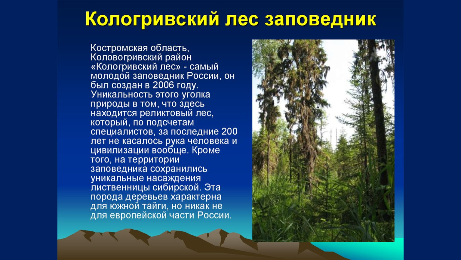 Кологривский лес заповедник