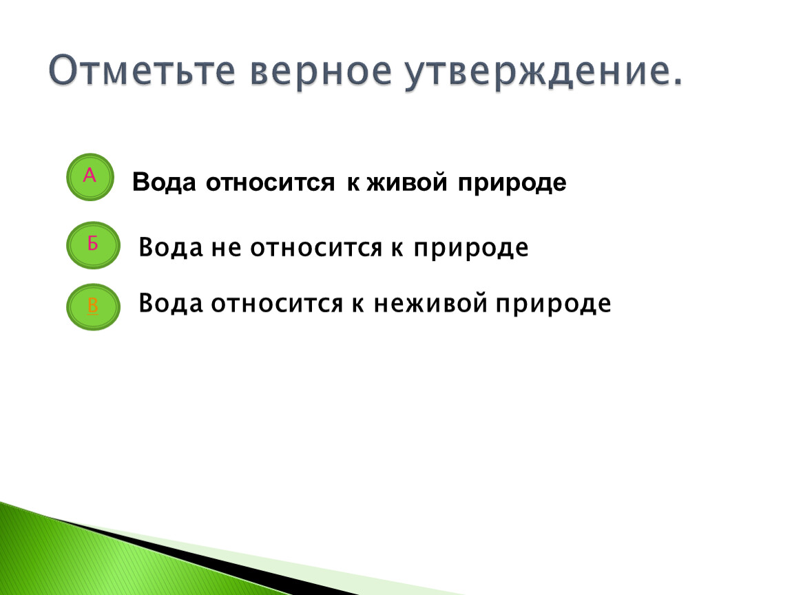 Отметьте два верных утверждения. Отметьте верные утверждения. Отметное верное утверждение. Верные утверждения о переменных. Выбери верное утверждение к природе относится.