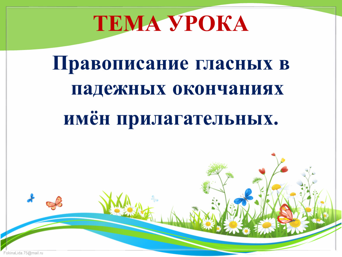 Правописание гласных в падежных окончаниях имён прилагательных.