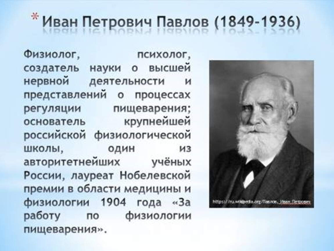 Известному русскому ученому физиолог. Теория Ивана Петровича Павлова.
