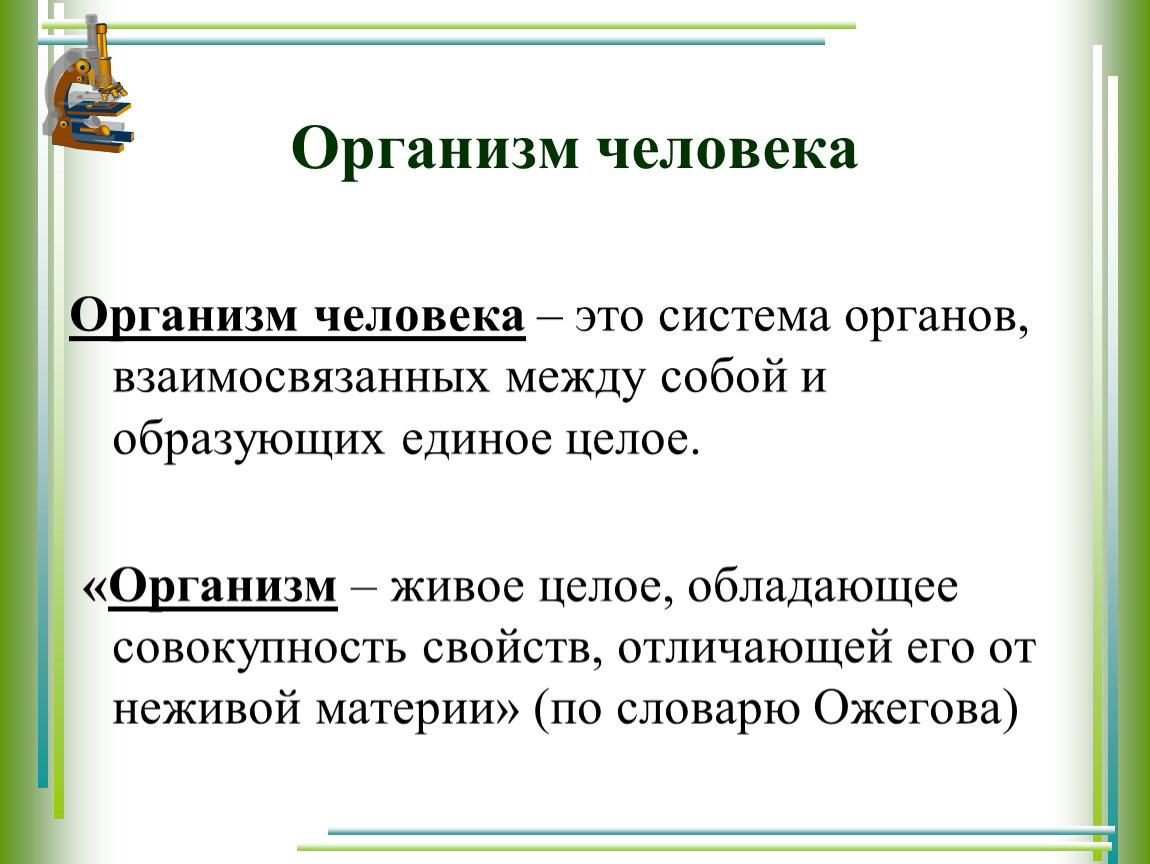 Презентация человек 3 класс плешаков. Система органов это 3 класс. Система органов это 3 класс окружающий мир. Что такое система органоа3 класс. Система органов 3классь акражаящий мяр.