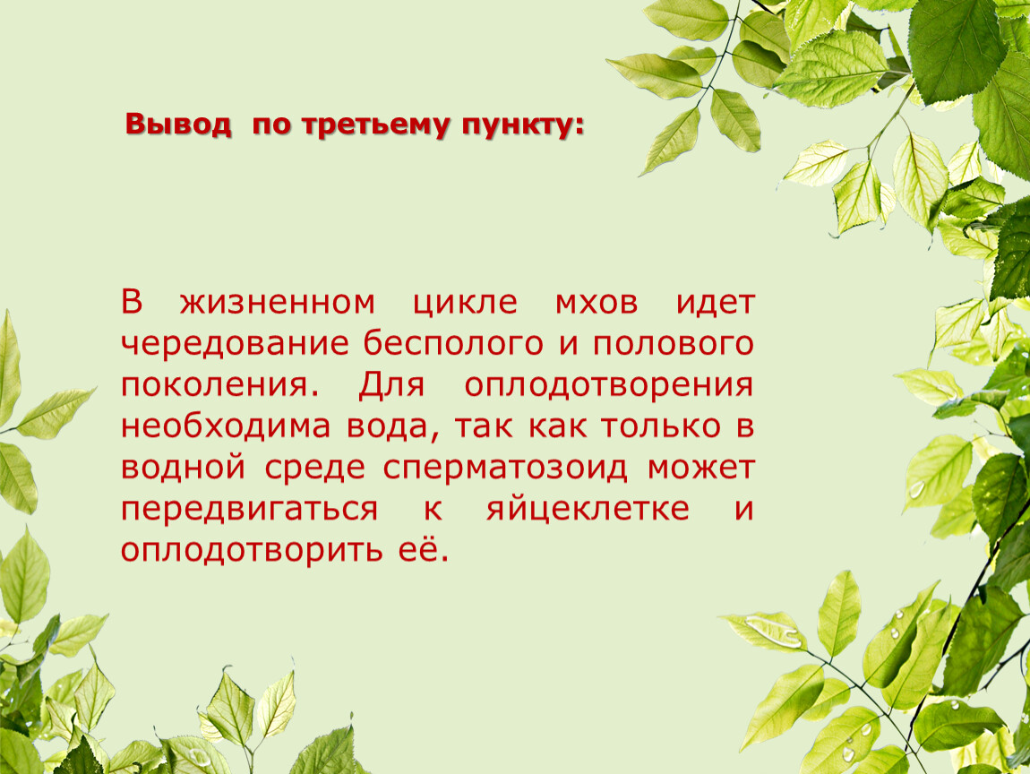 Вывод мха. Вывод по простейшим. Значение моховидных в природе и жизни человека.