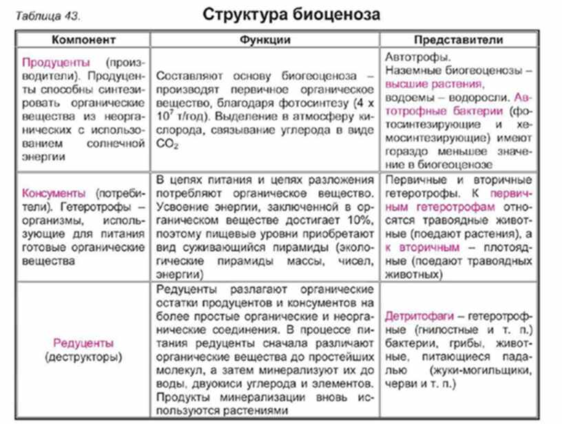 Установите соответствие строение и функции. Продуценты консументы редуценты примеры. Компоненты биотической структуры экосистемы таблица. Таблица по структуре биогеоценоза.