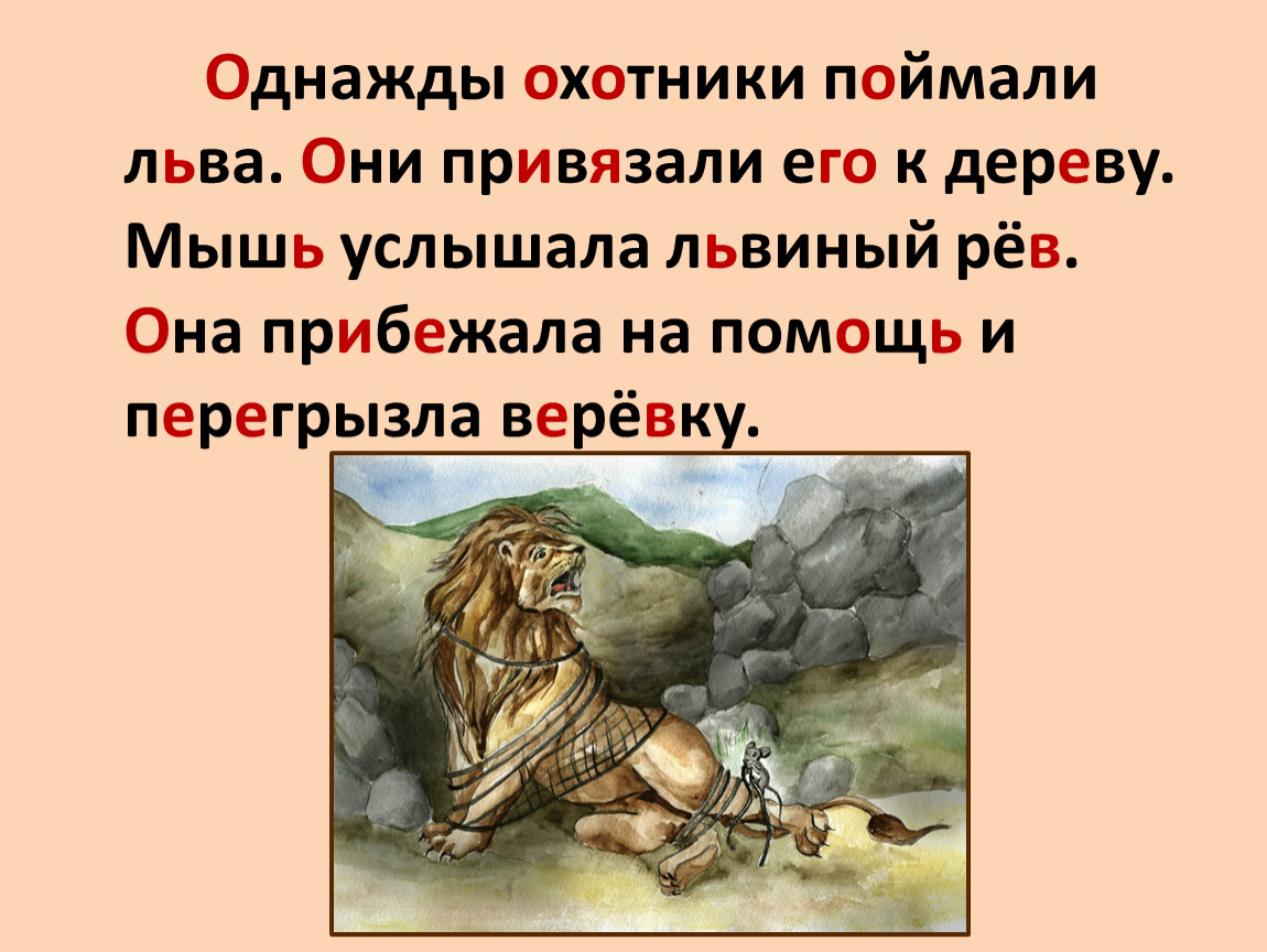 Лев разбор. Однажды охотники поймали Льва. Однажды охотники поймали Льва падежи. Однажды охотники поймали Льва определи род и чисел.