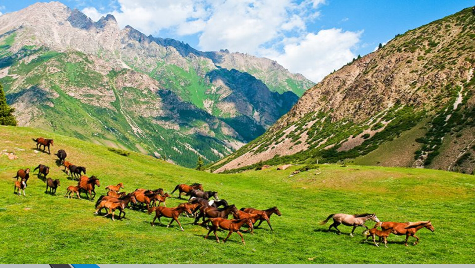 Киргизия или кыргызстан. Жайлоо. Природа Кыргызстана жайлоо. Киргизия и Кыргызстан. Кыргызстан горы джайлоо.