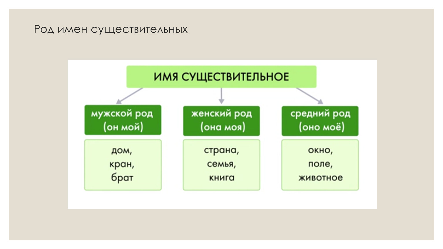 Презентация Род имён существительных. Имена существительные общего рода (5  класс)