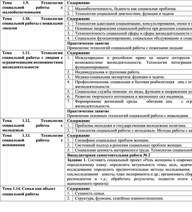 Курсовая работа: Анализ практического опыта социальной работы и социального проектирования в области работы с мигрантами