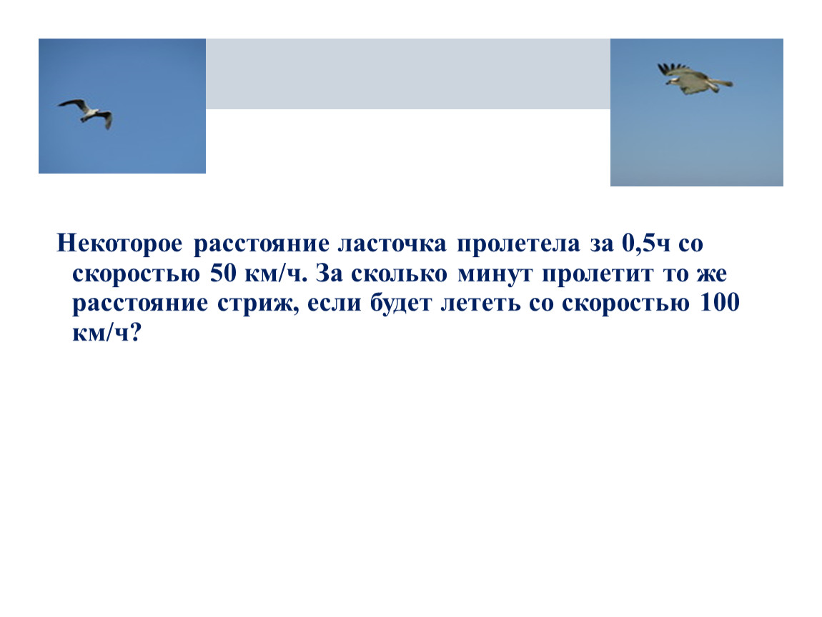 В диаграмме наглядно показано во сколько раз масса ласточки и масса стрижа меньше массы скворца