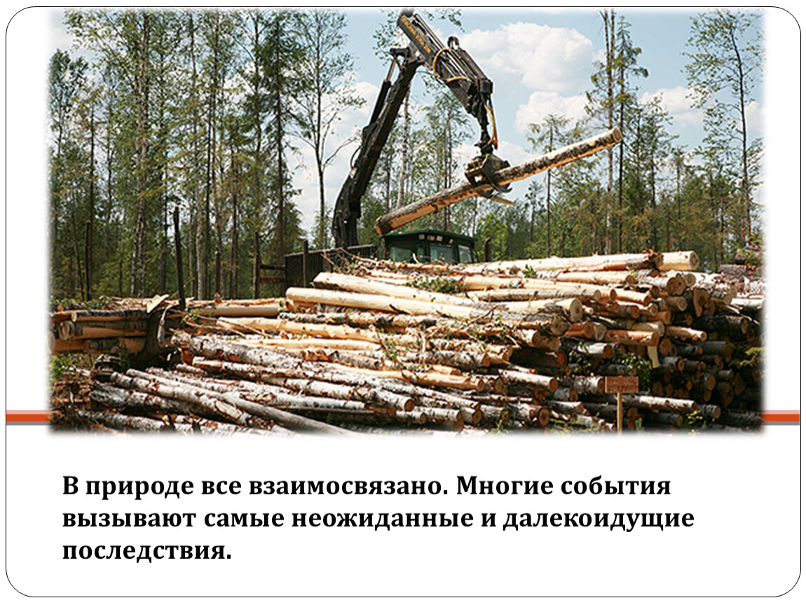 Зачем рубить. Вырубка лесов. Лес рубят. Заготовка древесины. Срубили лес.