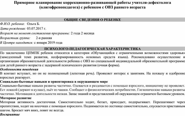 План коррекционно развивающей работы с ребенком