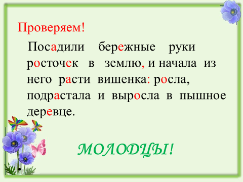 Расточек или росточек как пишется. Посадили бережные руки росточек в землю. Раст ращ рос 5 класс презентация. Росточек проверочное. Раст рос ращ урок в 5 классе презентация.