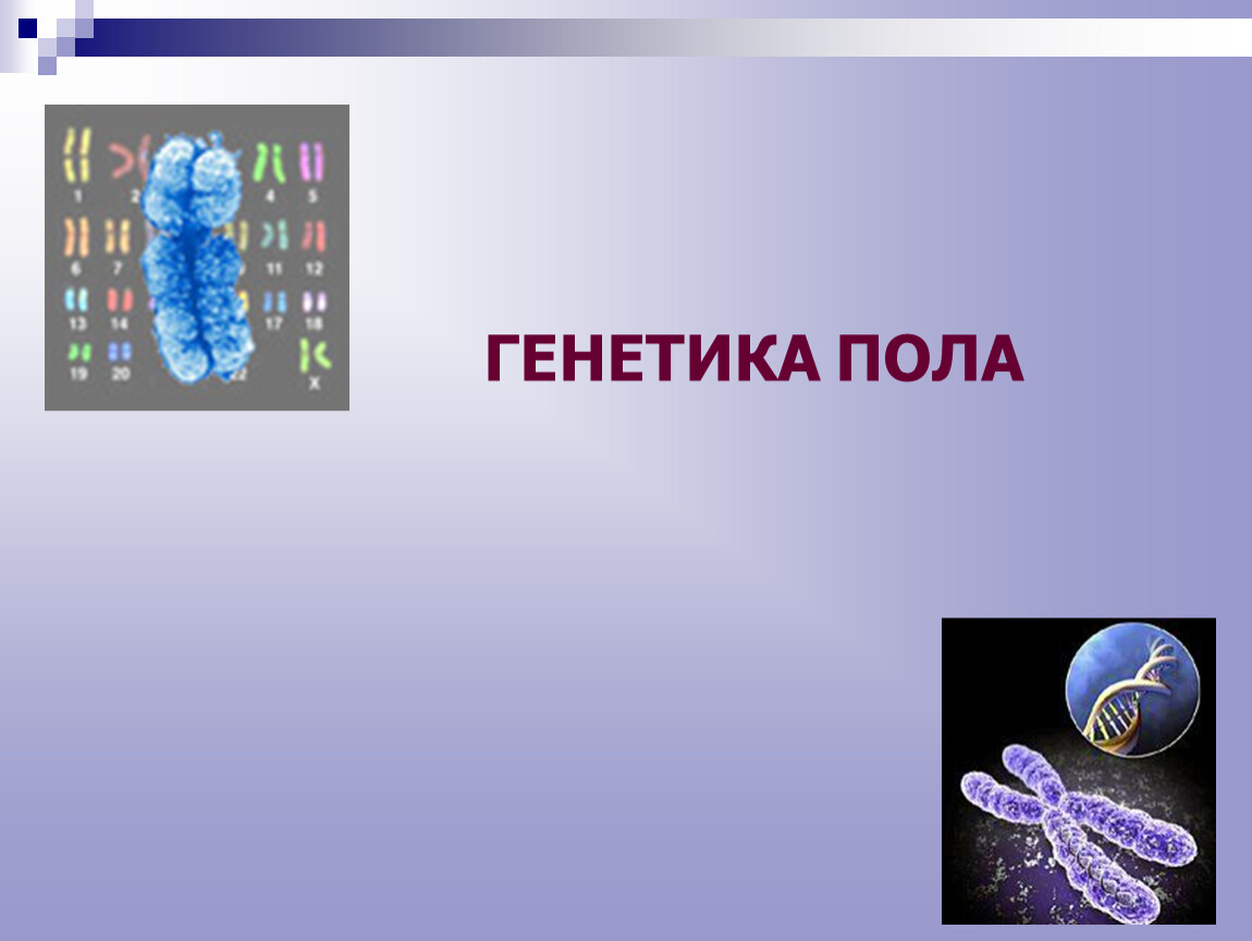 Презентация генетика человека 10 класс профильный уровень