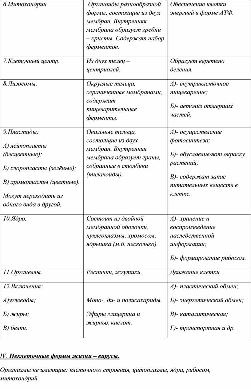 Митохондрии. Органоиды разнообразной формы, состоящие из двух мембран
