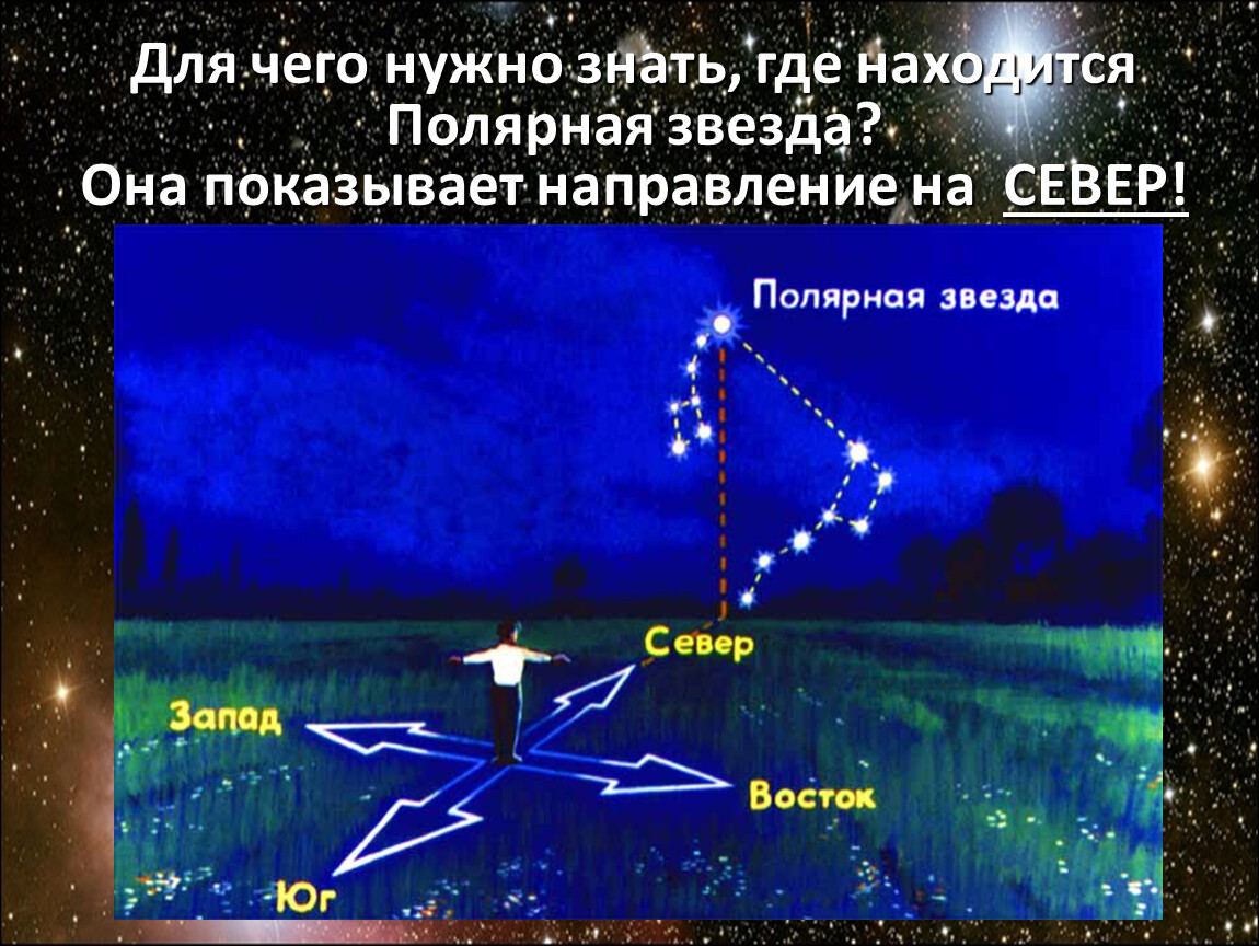 Определение горизонта по звездам. Ориентирование на местности Полярная звезда. Ориентирование по звездам большая Медведица. Способы ориентирования на местности по звездам.