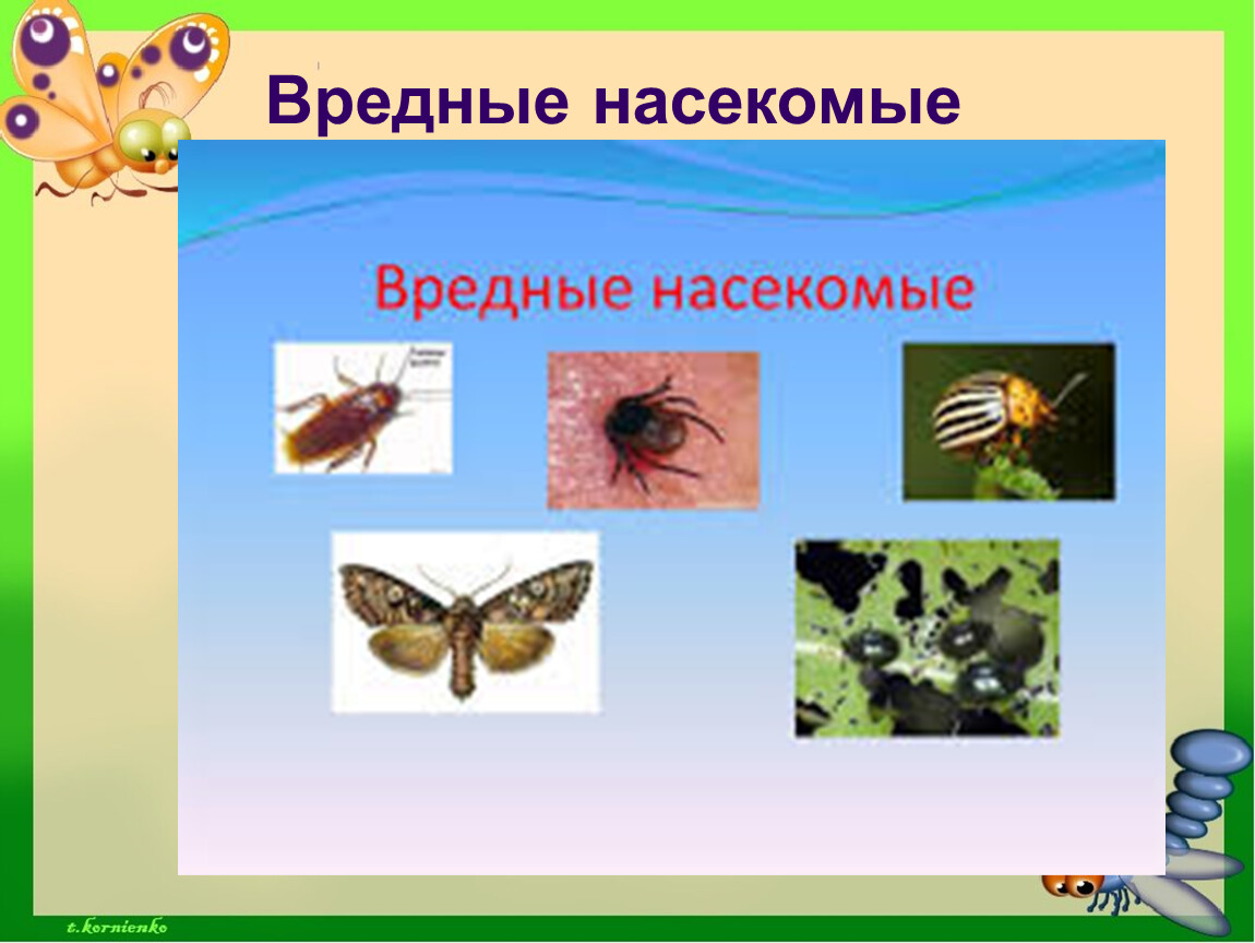 Перечисленные насекомые. Вредные насекомые. Полезные и вредные насекомые. Полезные насекомые для дошкольников. Вредные и полезные насекомые для дошкольников.