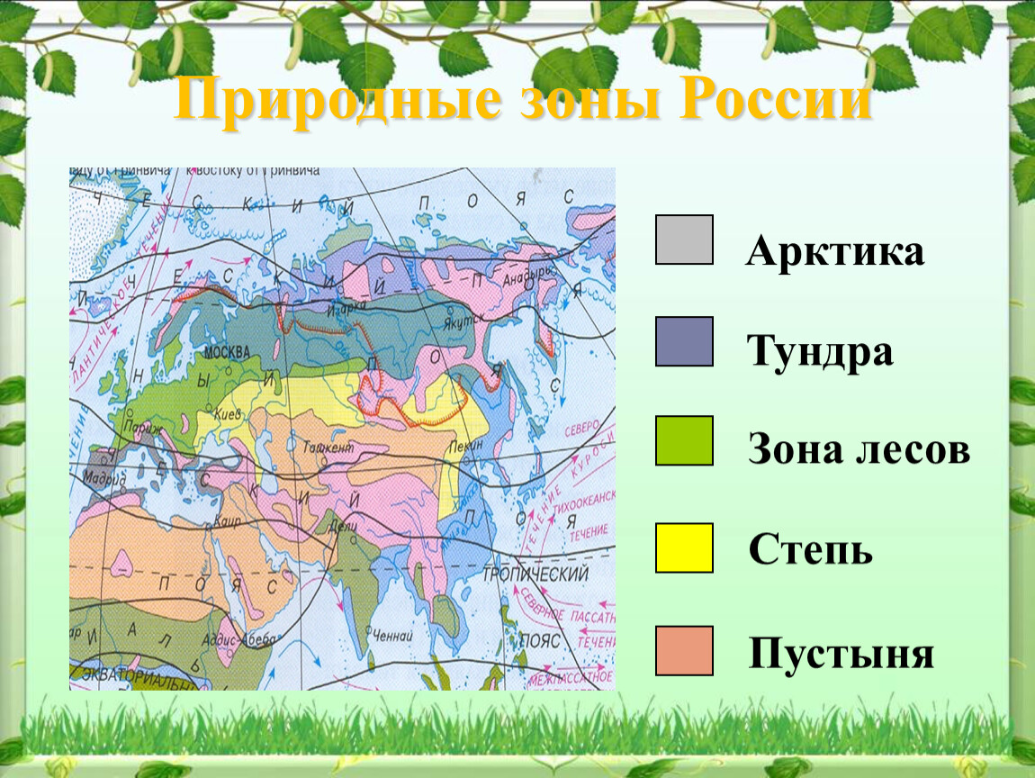 Укажите природную зону в которой можно встретить. Карта природных зон. Природные зоны России. Карта природных зон России. Расположение природных зон.