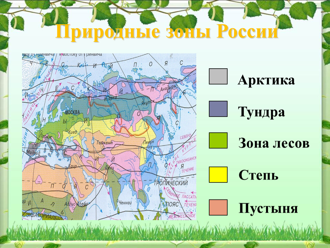 Природная зона это. Природные зоны РОССИИРОССИИ. Карта природных зон. Природные зоны картинки. Карта природных зон России.