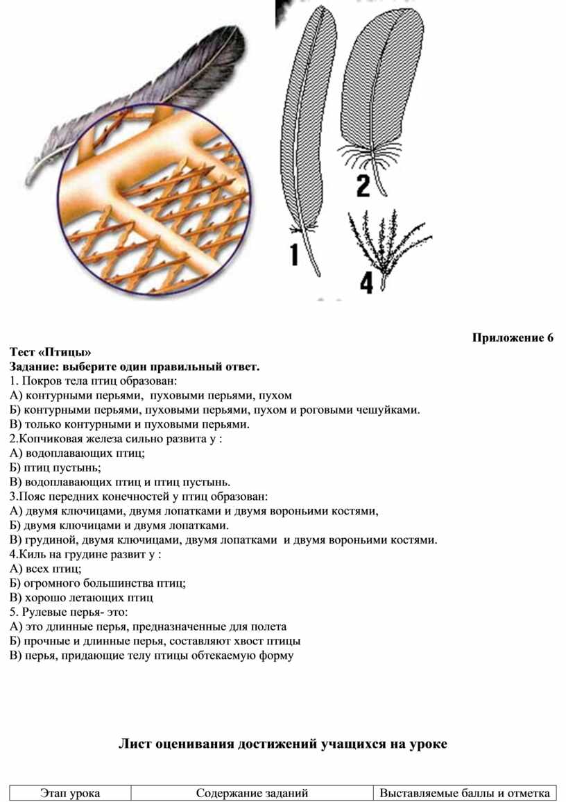 Разработка урока на тему: 