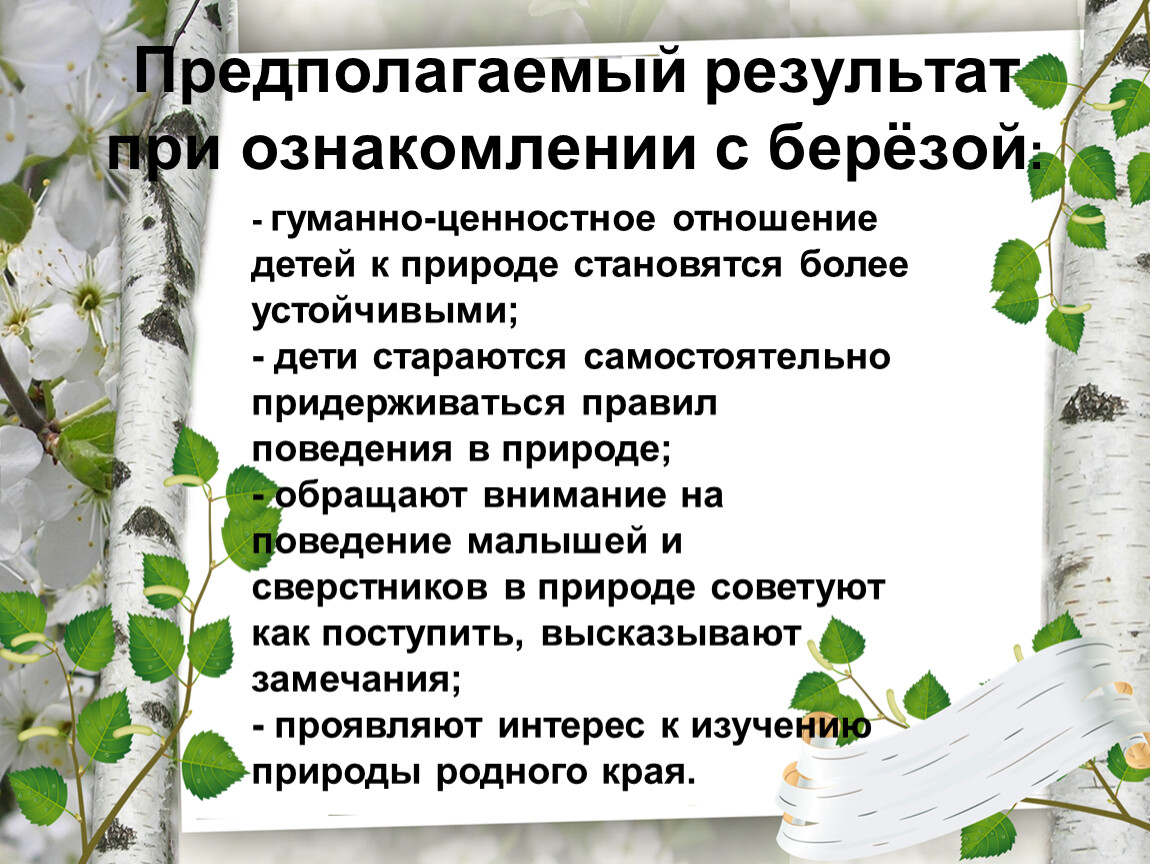 Люблю березку русскую. Ценностное отношение детей к природе. Презентация люблю березку русскую. Презентация люблю березку русскую в детском саду. Березка основа