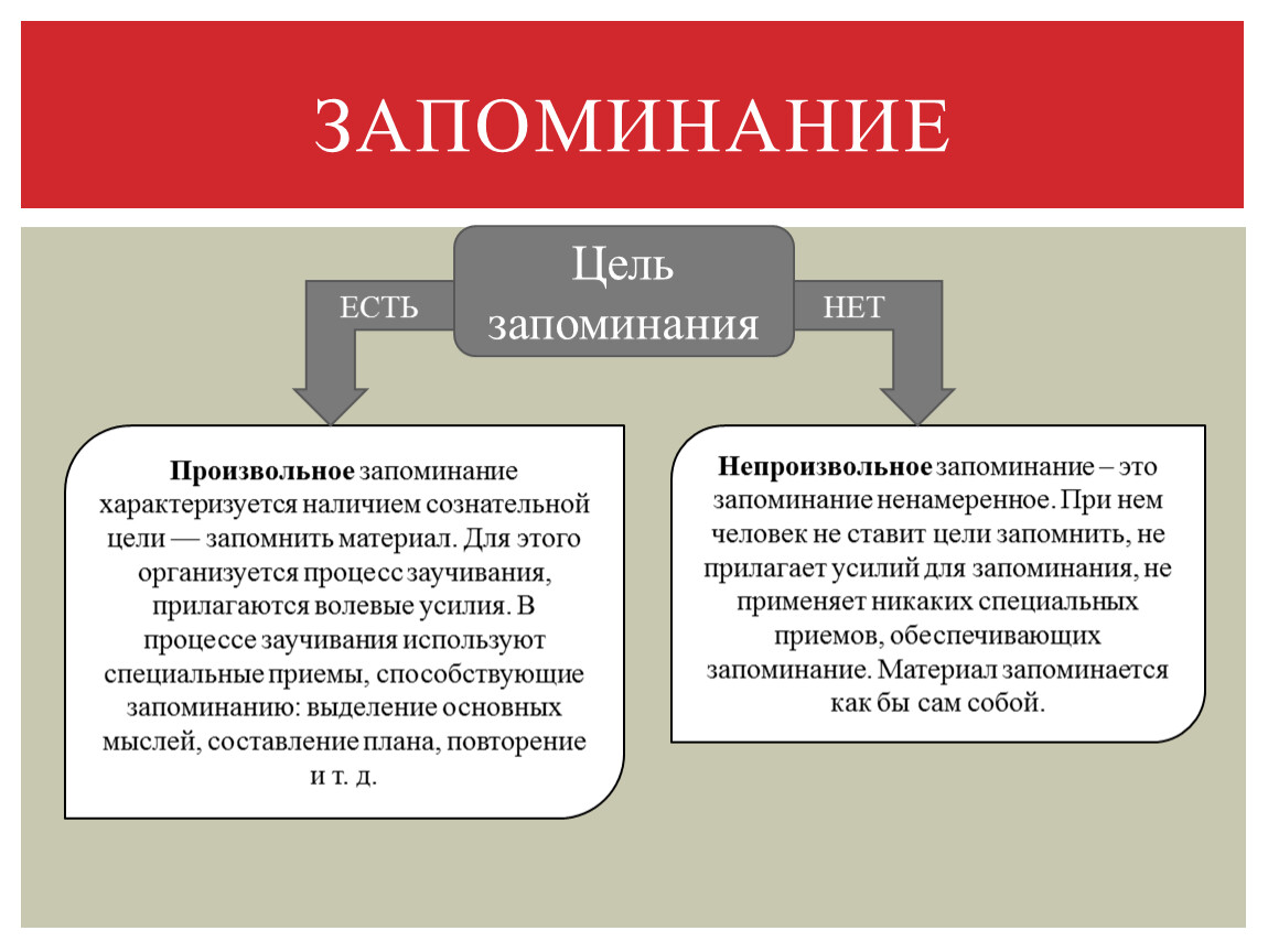 Формы памяти. Виды специальной памяти. Вид памяти специальная цель запомнить. Закономерности процессов памяти. Смешанные типы памяти.