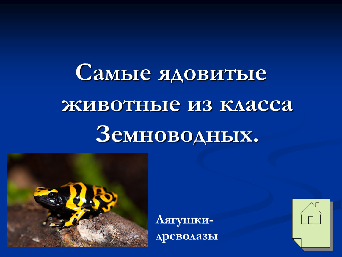 Классы ядовитых животных. Ядовитые животные презентация. Ядовитые животные класса земноводных. Ядовитые животные России презентация. Ядовитые земноводные презентация.