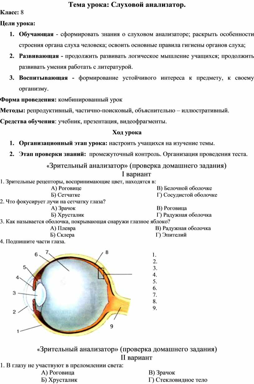 Презентация на тему слуховой анализатор 8 класс