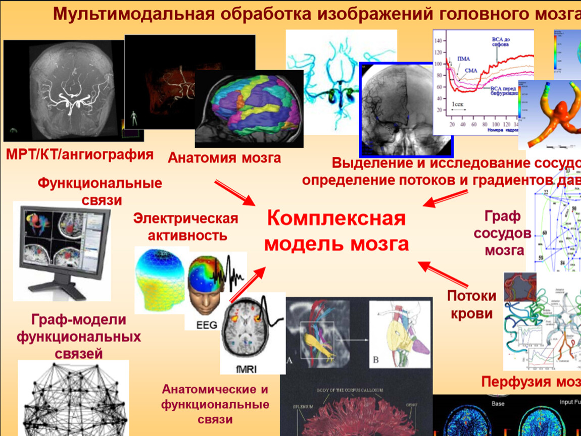 Презентация учебно-исследовательского проекта 