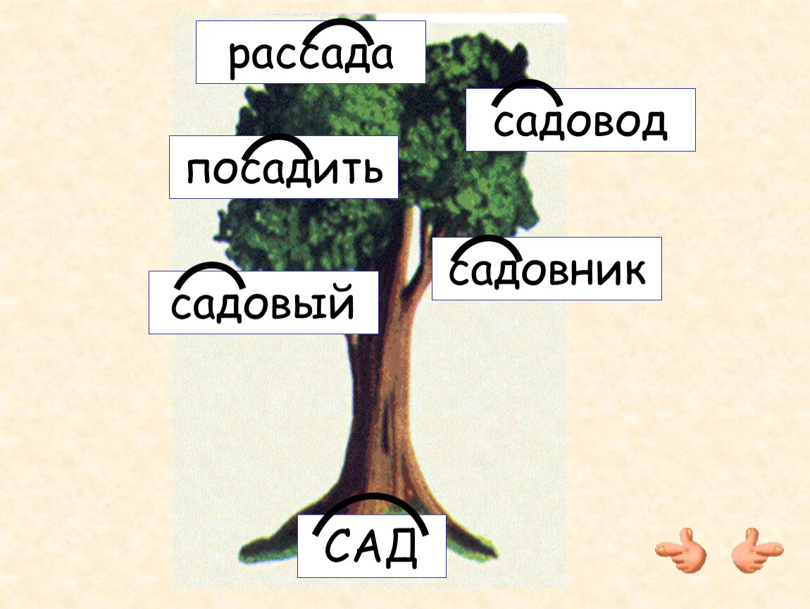 Слова связанные с деревом