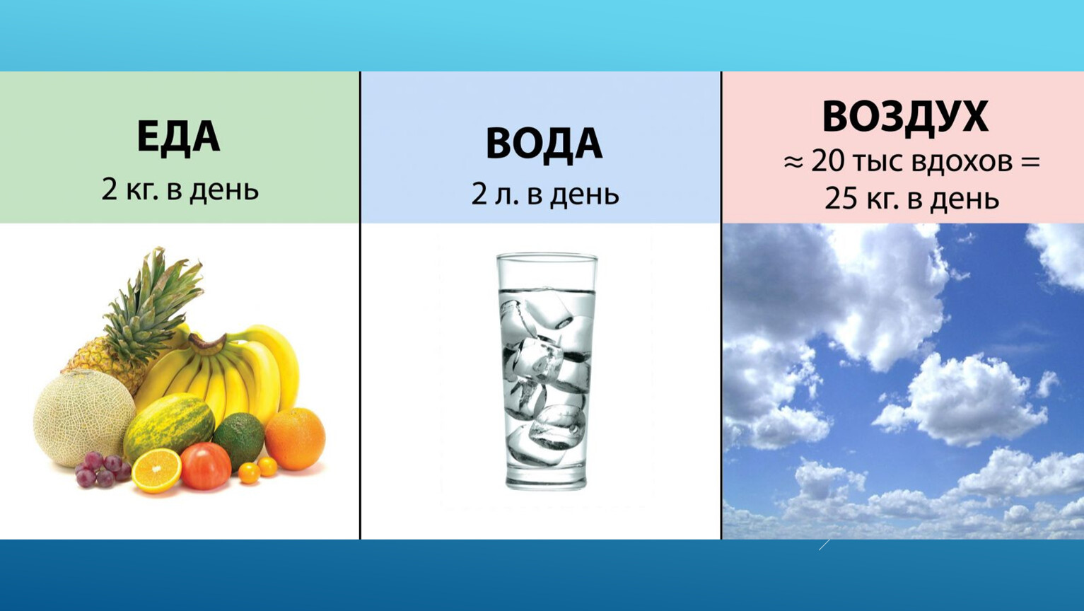 Биологические пища вода воздух. Еда вода воздух. Вода в питании. Человек воздух в воде. Вода в питании человека.