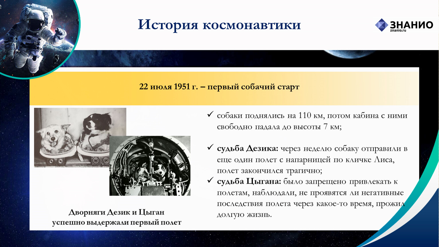 Гагаринский урок история освоения космоса. Дезик и цыган в космосе. Дезик и цыган в космосе история полёта. В июле 1951 года два пёсика – цыган и дезик.